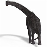 Brachiosaurus 03 A_0001